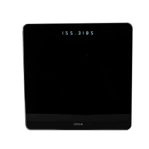 S-100 Weight Scale